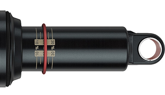 Shock absorber check